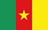 Cameroon flag